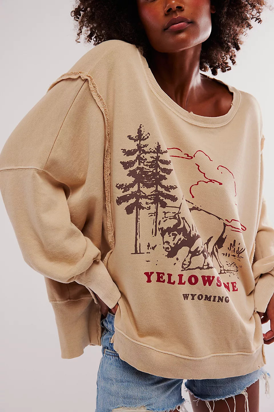 Free People We The Free Graphic Camden Pullover - YELLOWSTONE BISON